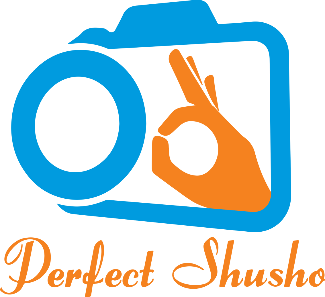 Perfect Shusho
